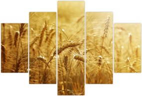 Tablou - Spice de cereale (150x105 cm)