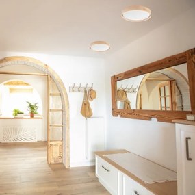 Brilagi - Plafonier MANAROLA SMART LED 24W 230V cu telecomandă Tuya