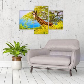 Tablou - Girafa în Africa (90x60 cm)