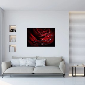 Tablou - Trandafir (90x60 cm)