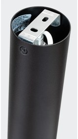 Plafonieră neagră/aurie Crown – Sollux