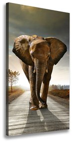 Tablou pe pânză canvas Elefant de mers pe jos