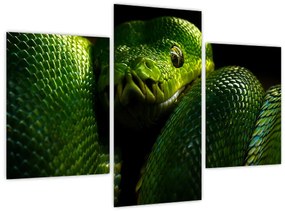 Tablou - Șarpele verde (90x60 cm)