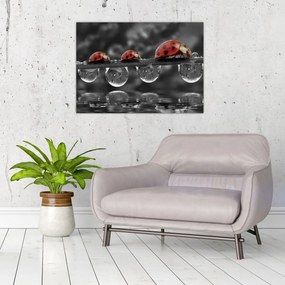 Tablou pe sticlă - Floarea-soarelui, alb și negru (70x50 cm)