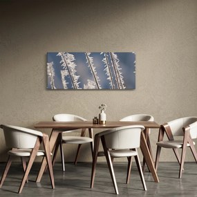 Tablou - Îngheț (120x50 cm)