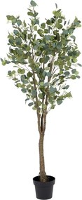 Eucalipt artificial (înălțime 173 cm) Eucalyptus – Ixia