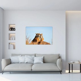 Tablou - Tigroaica cu pui (90x60 cm)
