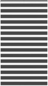 vidaXL Jaluzea tip zebra neagră lățime țesătură 125,9 cm poliester