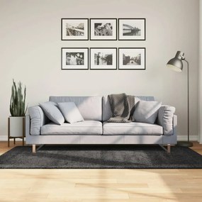vidaXL Covor pufos &quot;PAMPLONA&quot; fire înalte antracit modern 100x200 cm