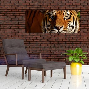 Tablou cu tigrul (120x50 cm)