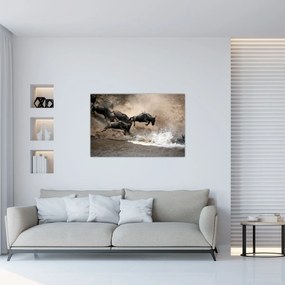 Tablou - Turmă de gnu (90x60 cm)