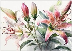 Tablou - Crinii, ilustrații (70x50 cm)