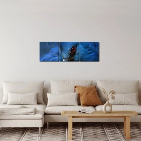 Tablou - Porumbel încoronat (cu ceas) (90x30 cm)