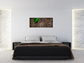 Tablou cu frunză pe trunchi de copac (120x50 cm)