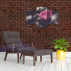 Tablou - Detaliu florii de trandafir (90x60 cm)