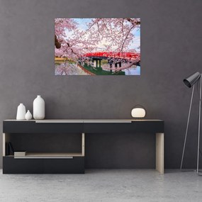 Tablou - Hirosaki, Japonia (90x60 cm)