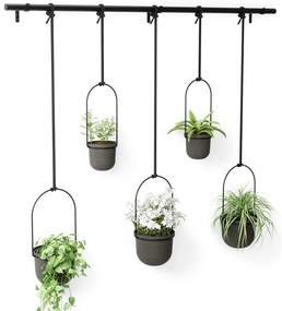 Ghivece decorative 5 buc. din plastic pentru ierburi aromatice/de agățat / de perete ø 7,5 cm Triflora – Umbra