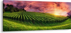 Tablou cu vie cu cerul color (120x50 cm)