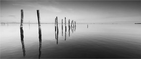Tablou cu nivelul de lac alb negru (120x50 cm)
