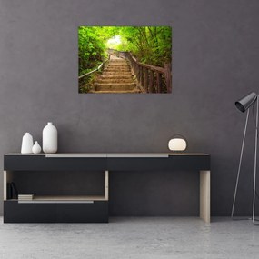 Tablou - Scări în natură (70x50 cm)