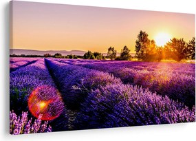 Tablou cu câmp de lavanda (90x60 cm)