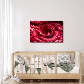 Tablou cu floarea trandafirului roșu (90x60 cm)