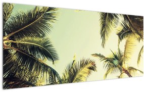 Tablou - Palmieri de cocos (120x50 cm)