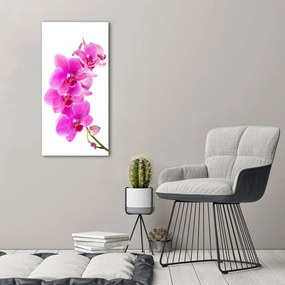 Tablou pe pânză canvas Orhidee roz