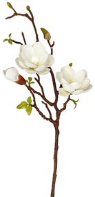 Crenguta cu magnolie alba, HEAVEN, 60cm