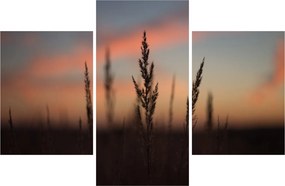 Tablou - Silueta plantei (90x60 cm)