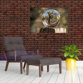 Tablou - Reflecție intr-o sferă transparentă (90x60 cm)