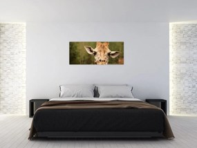 Tablou girafe (120x50 cm)