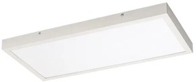 Panou LED aplicat Rabalux 71077 DAMEK LED/24W/230V 4000K 60x30 cm
