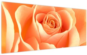 Tablou - Imaginea- Trandafiri, culoarea caisei (120x50 cm)