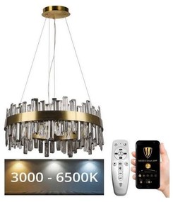 Lustră LED de cristal dimabilă pe cablu LED/80W/230V + telecomandă