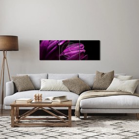 Tablou - Picătura de apă (cu ceas) (90x30 cm)