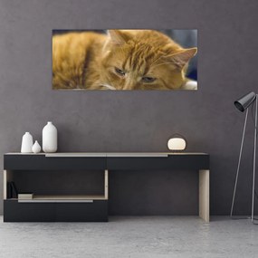 Tablou cu pisica (120x50 cm), în 40 de alte dimensiuni noi