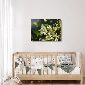 Tablou pe sticlă cu fluture (70x50 cm)