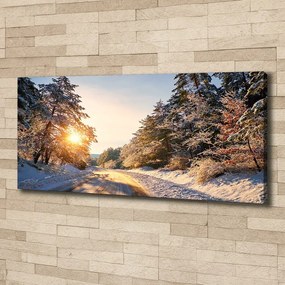 Tablou canvas Drumul în pădure de iarnă