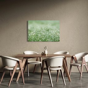 Tablou - Trandafir în iarbâ (90x60 cm)