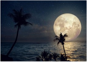 Tablou - Plajă cu lună plină (70x50 cm)