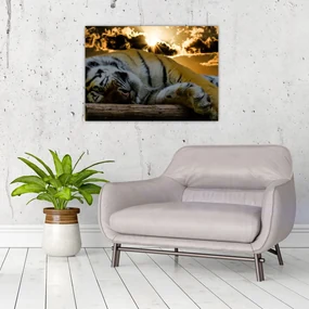Tablou tigrul dormind (70x50 cm), în 40 de alte dimensiuni noi