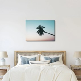 Tablou - Palmier la Bali (70x50 cm)
