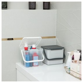 Cutie de depozitare din plastic cu capac - Rotho