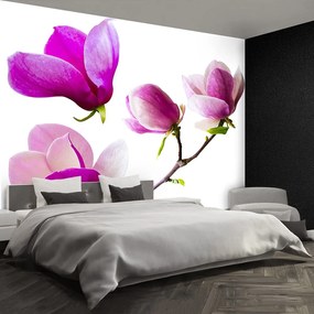 Fototapet Magnolia Flori