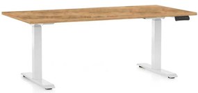 Masă înălțime reglabilă OfficeTech C, 160 x 80 cm, picioare albe, stejar auriu