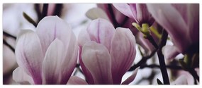 Tablou - Magnolie (120x50 cm)