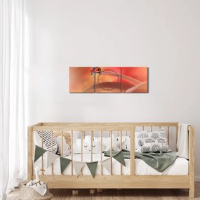 Tablou picăturii de rouă pe floare (cu ceas) (90x30 cm)