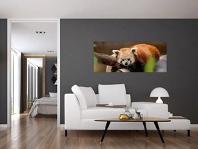 Tablou cu panda roșie (120x50 cm)