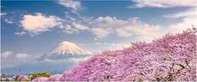 Tablou - Peisaj de primăvară japonez (120x50 cm)